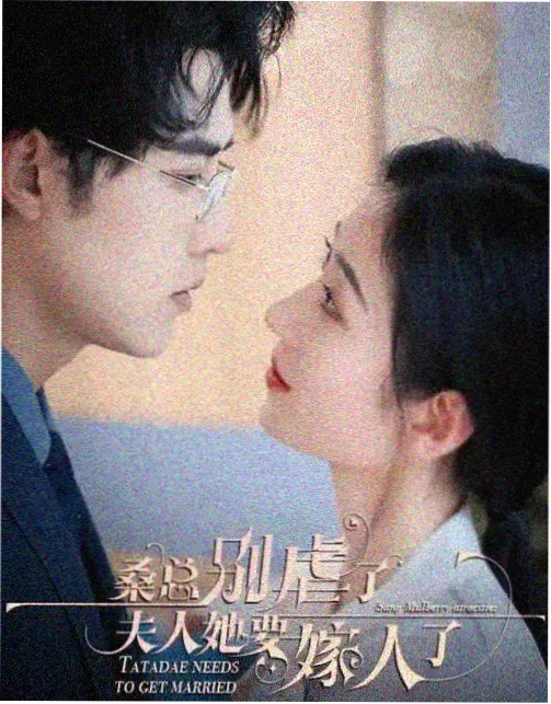 家庭伦理题材观察